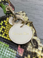 MINI 17 LADY BAG IN COLORFUL SNAKESKIN PATTERN LAMBSKIN 225975