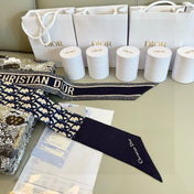 DIOR 26S SCARF 105CM IN SILK 309593