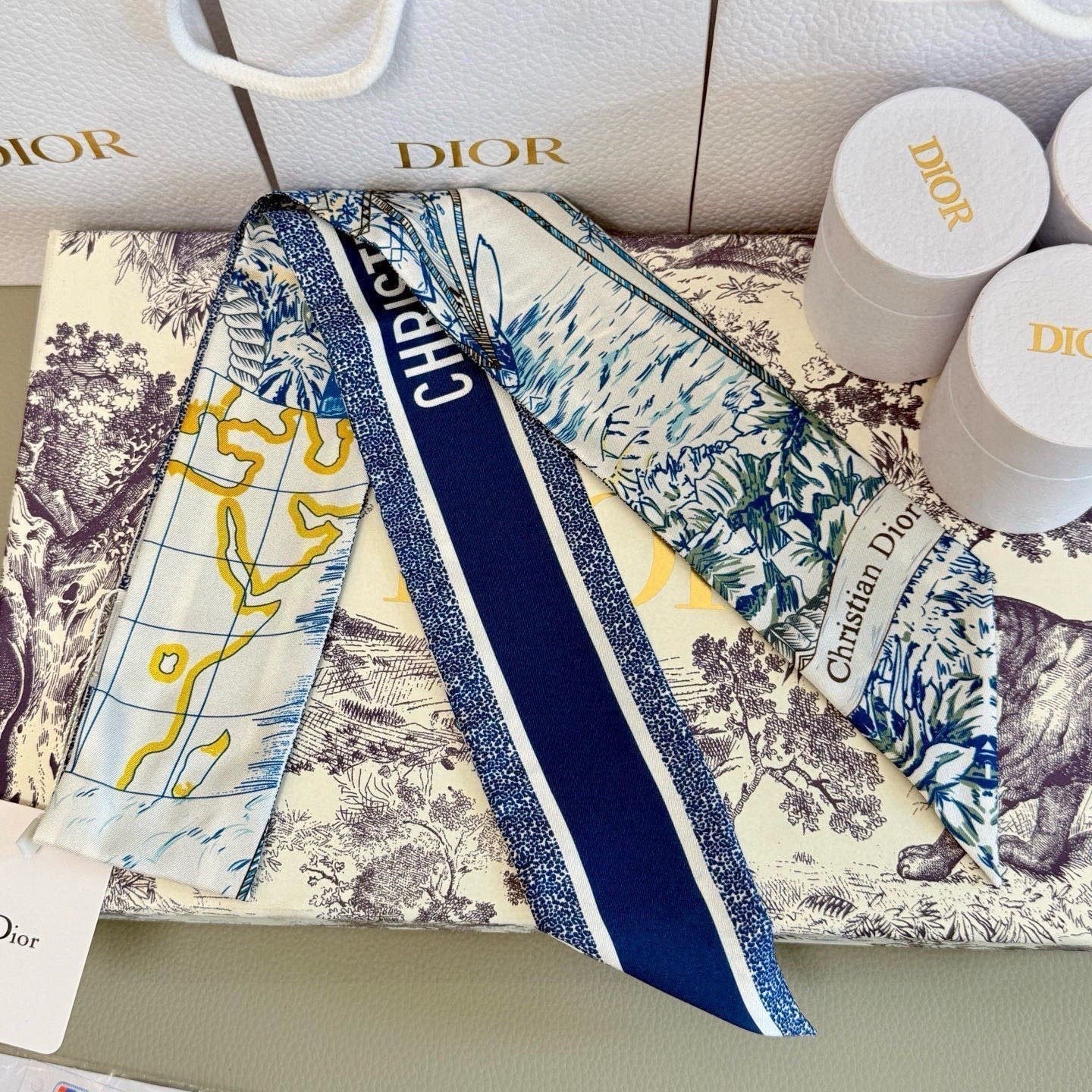 DIOR 26S SCARF 100CM IN SILK 305845