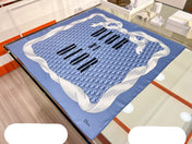 DIOR 26S SCARF 90CM IN SILK 163869