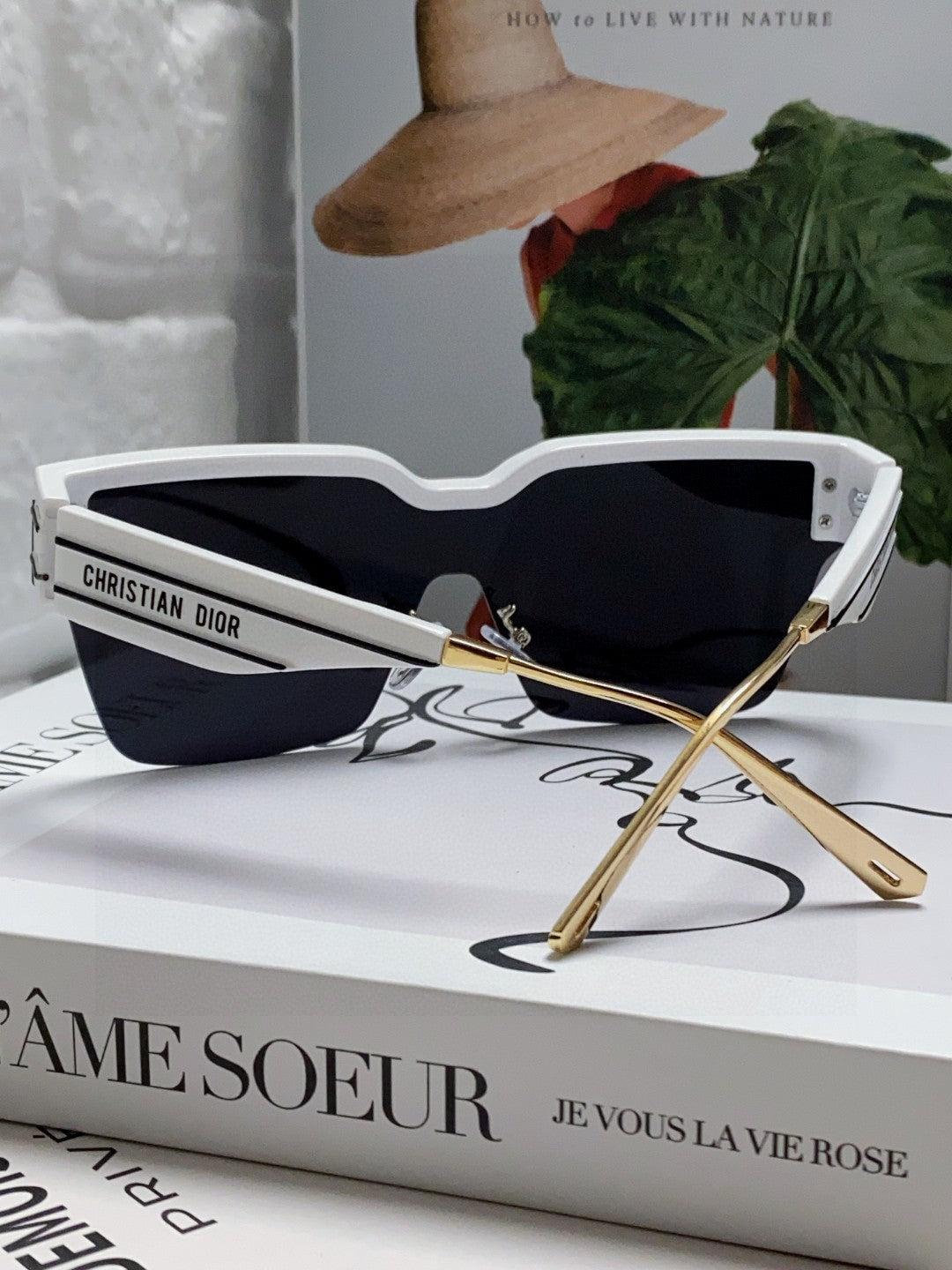 DIOR 26S MASK FRAME IN ACETATE 422580