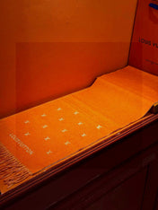 LV SCARF 180 CM IN CASHMERE 730569
