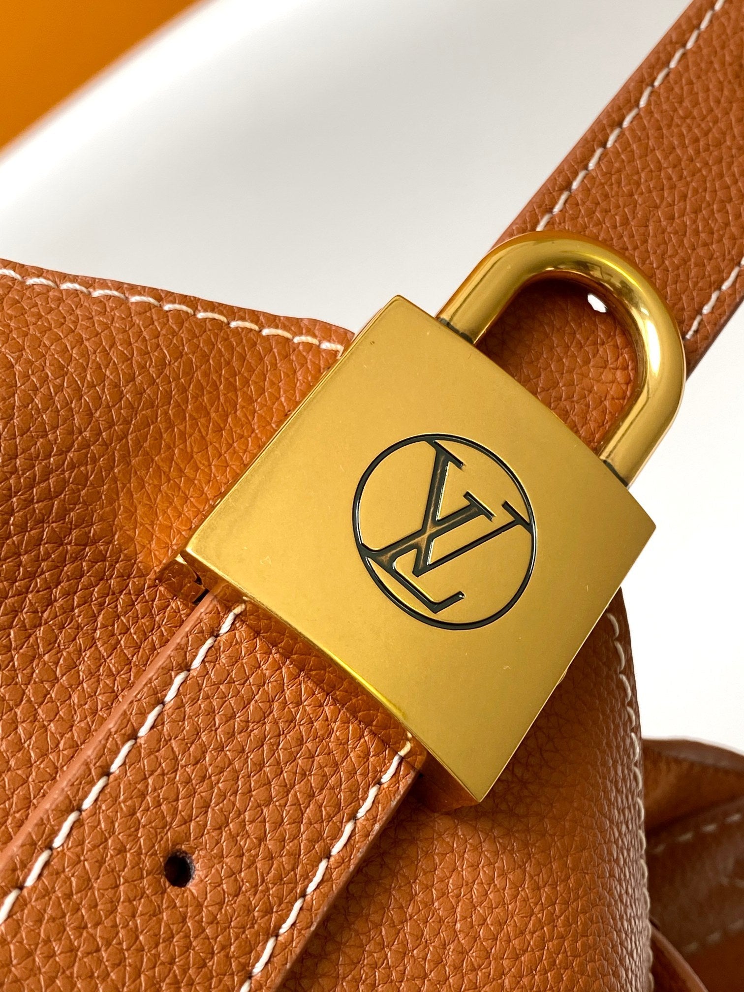 LV 25S LOW KEY HOBO BAG 28 CM IN BURNT ORANGE CALFSKIN